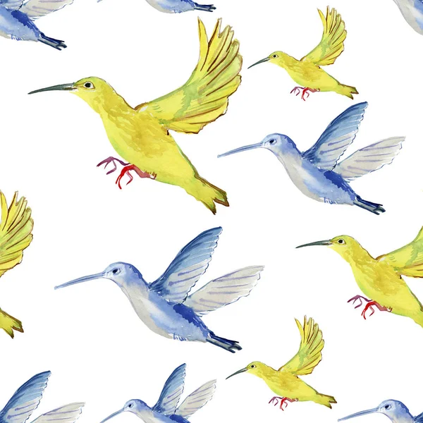 Akvarelu Ilustrace Barevné Kolibříků Colibri Bezešvé Pozadí — Stock fotografie
