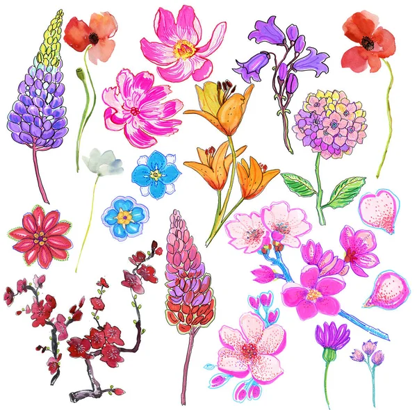 Colourful set of garden flowers isolated on white background