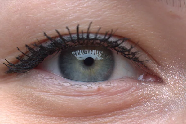 Beautiful Eye Young Girl — Stock Photo, Image