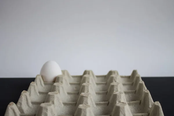 One white egg in a tray on a black and white background