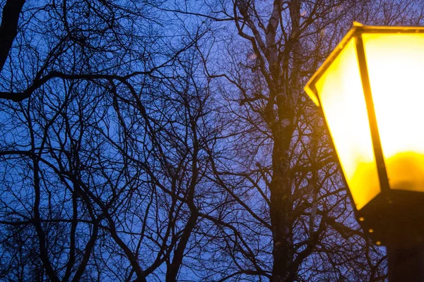 Zachte Focus Helder Gele Lantaarn Tegen Nachtelijke Hemel Close Wazig — Stockfoto