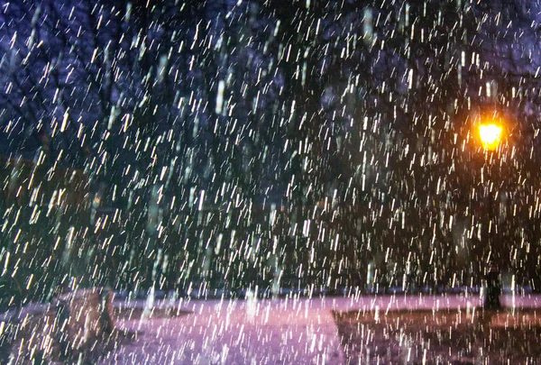 Floresta Neve Lanterna Parque Contra Céu Escuro — Fotografia de Stock