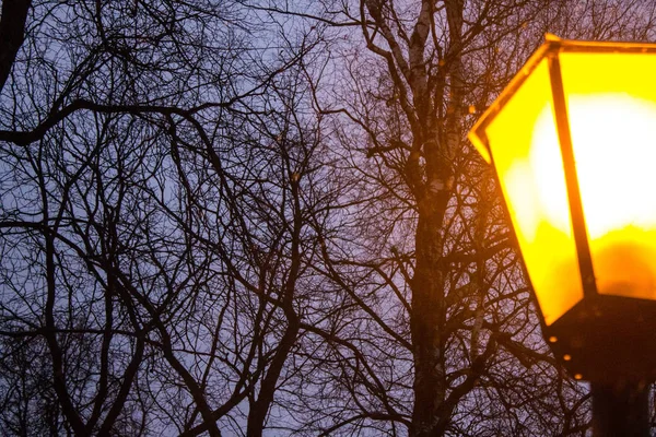 Weicher Fokus Leuchtend Gelbe Laterne Gegen Den Nachthimmel Nahaufnahme Verschwommen — Stockfoto