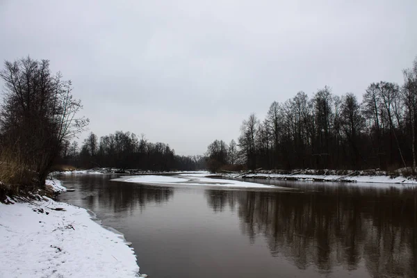 Зимовий Пейзаж Річкою Відображенням Снігом Березі Похмурий День — стокове фото
