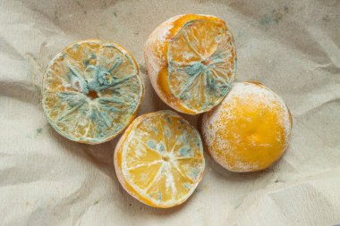 Trend - ugly food. Four halves of a spoiled lemon with mold close-up on crumpled paper