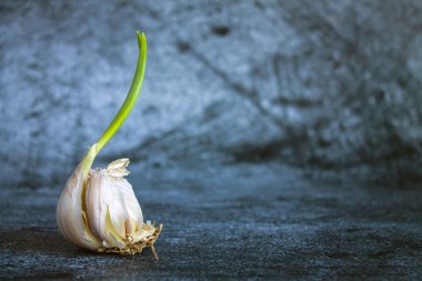 Sarımsak başlıklı yeşil lahanalı ve kabuklu, desenli gri arka planda kopyalamak için alan var.