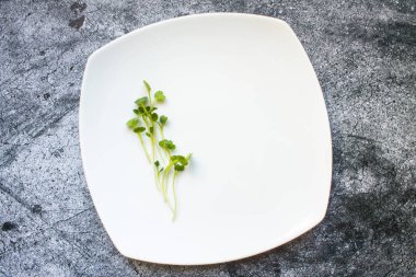 Beyaz kare bir plaka üzerinde mikro-yeşil dallar kopyalama alanı olan gri dokuya yakın plan