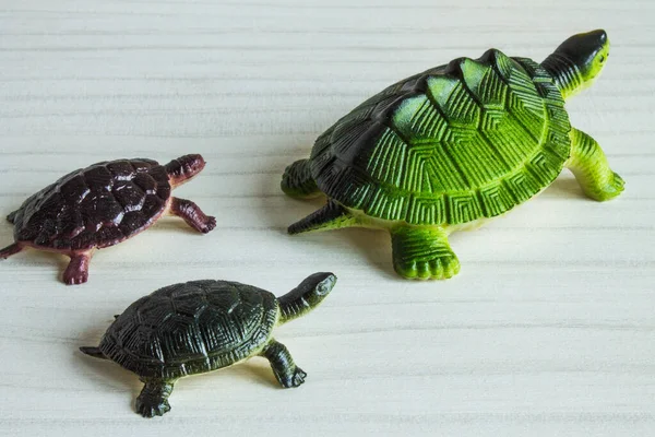 Kinderspielzeug Eine Schildkröte Mit Jungen Auf Einem Weißen Holztisch Großaufnahme — Stockfoto