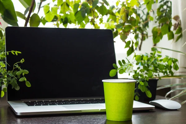 Laptop Mesa Plantas Verdes Redor Espaço Para Cópia Conceito Home — Fotografia de Stock