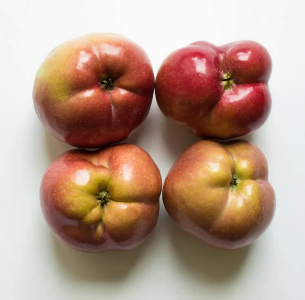 Vier Rundungen Reifer Roter Äpfel Nahaufnahme Trend Ugli Früchte — Stockfoto