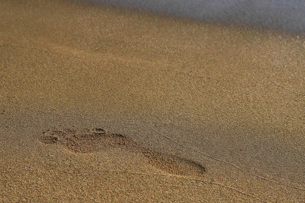 海滩，沙滩，赤脚脚印，水冲走了痕迹 — 图库照片