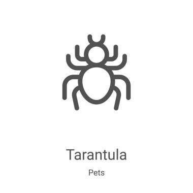 Hayvan koleksiyonundan tarantula ikonu vektörü. İnce çizgi tarantula ana hatlı ikon vektör çizimi. Web ve mobil uygulamalarda kullanmak için doğrusal sembol, logo, yazdırma ortamı