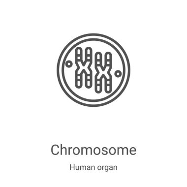 İnsan organı koleksiyonundan kromozom ikonu taşıyıcısı. İnce çizgi kromozom taslağı ikon vektör çizimi. Web ve mobil uygulamalarda kullanmak için doğrusal sembol, logo, yazdırma ortamı