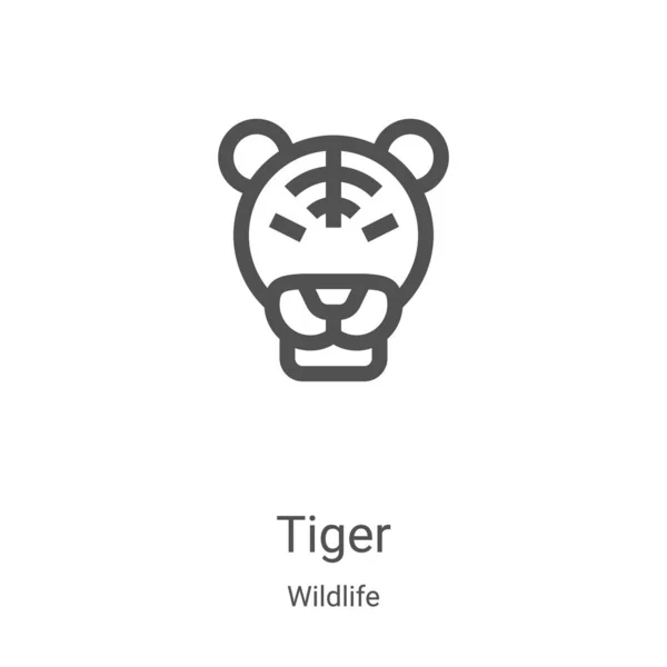 野生動物コレクションのタイガーアイコンベクター。細いライン虎の輪郭アイコンのベクトルイラスト。Webやモバイルアプリ、ロゴ、印刷メディアで使用するための線形シンボル — ストックベクタ