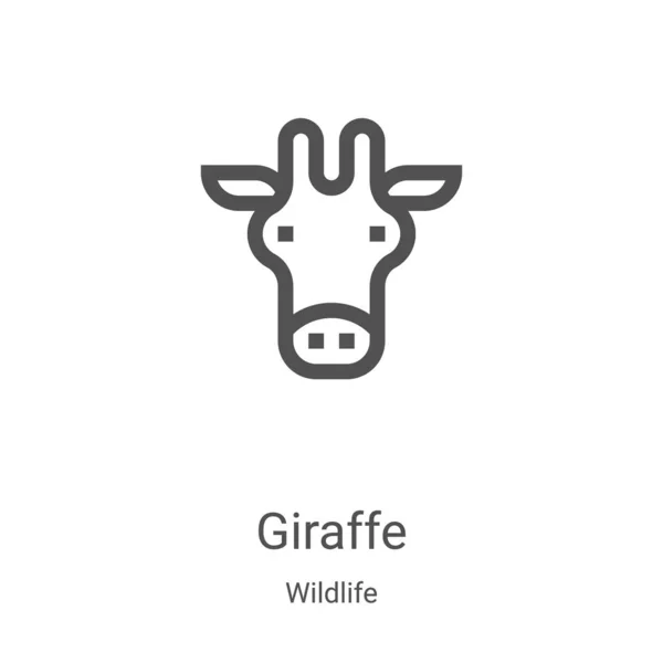 Giraffikon vektor från vilda djur samling. Tunn linje giraff kontur ikon vektor illustration. Linjär symbol för användning på webben och mobilappar, logotyp, tryckta medier — Stock vektor