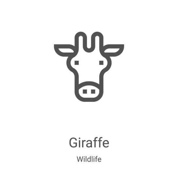 Vetor ícone girafa da coleção de vida selvagem. Linha fina girafa esboço ícone vetor ilustração. Símbolo linear para uso em aplicativos web e móveis, logotipo, mídia impressa —  Vetores de Stock