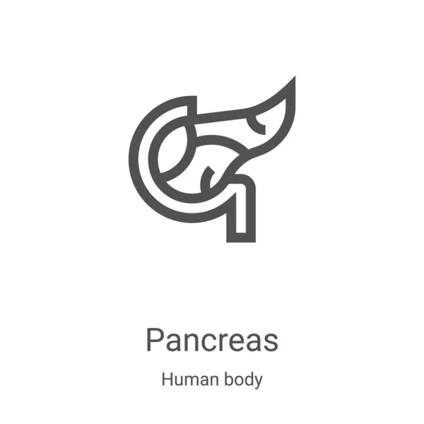 Φορέας εικονίδιο του παγκρέατος από τη συλλογή του ανθρώπινου σώματος. Λεπτή γραμμή περίγραμμα παγκρέατος εικόνα διάνυσμα. Γραμμικό σύμβολο για χρήση σε εφαρμογές web και mobile, λογότυπο, έντυπα μέσα — Διανυσματικό Αρχείο