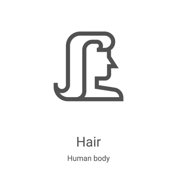 Vetor de ícone de cabelo da coleção do corpo humano. Linha fina cabelo esboço ícone vetor ilustração. Símbolo linear para uso em aplicativos web e móveis, logotipo, mídia impressa —  Vetores de Stock