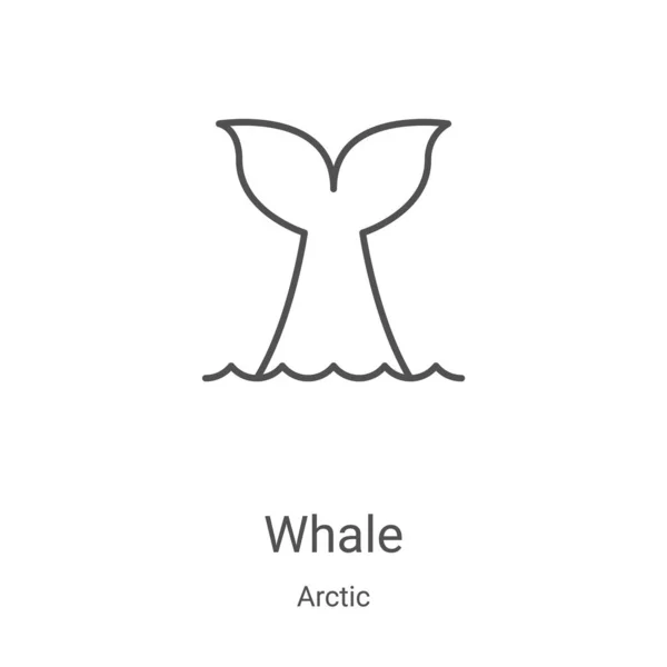 Wal-Symbolvektor aus der arktischen Sammlung. dünne Linie Wale umreißen Symbol Vektor Illustration. Lineares Symbol für Web- und Mobile-Apps, Logo, Printmedien — Stockvektor