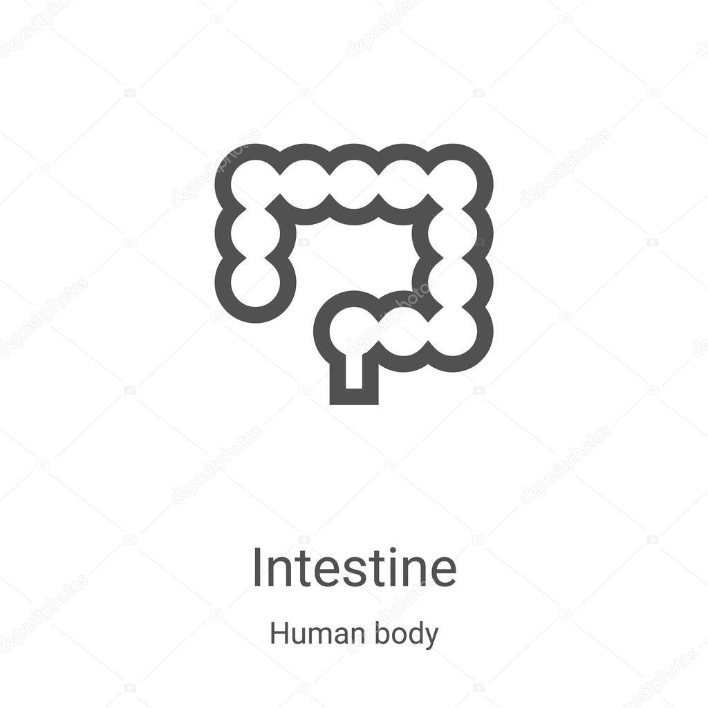 intestine icon vector from human body collection. Thin line intestine outline icon vector illustration. Linear symbol for use on web and mobile apps, logo, print media