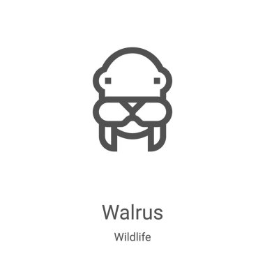 Vahşi yaşam koleksiyonundan deniz aygırı ikonu taşıyıcısı. İnce çizgi mors ana hatlı ikon vektör çizimi. Web ve mobil uygulamalarda kullanmak için doğrusal sembol, logo, yazdırma ortamı