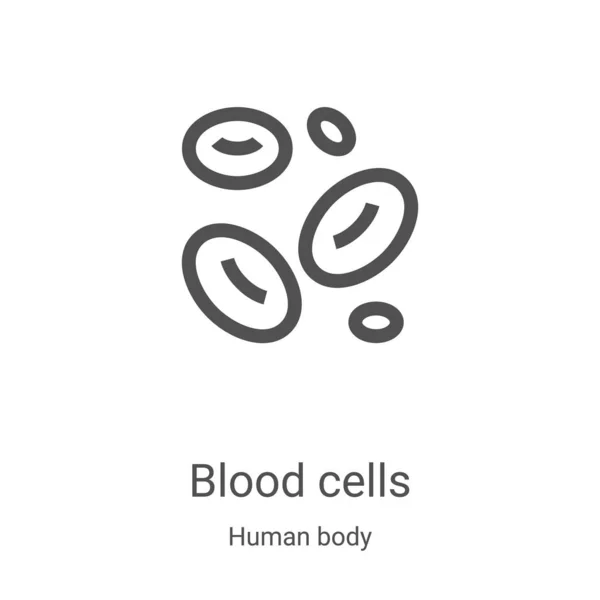 Vector icono de glóbulos rojos de la colección del cuerpo humano. Delgada línea de glóbulos rojos contorno icono vector ilustración. Símbolo lineal para su uso en aplicaciones web y móviles, logotipo, medios impresos — Vector de stock