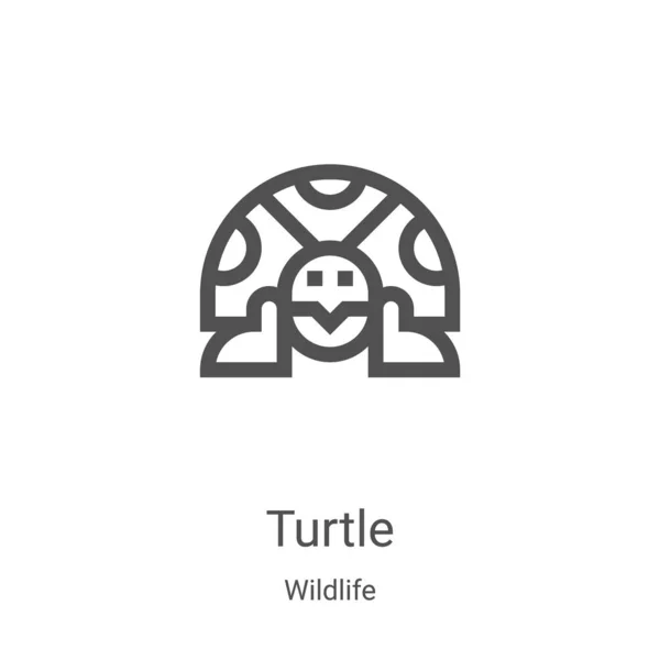 Turtle Icon Vector Wildlife Collection Thin Line Turtle Outline Icon — Stock Vector
