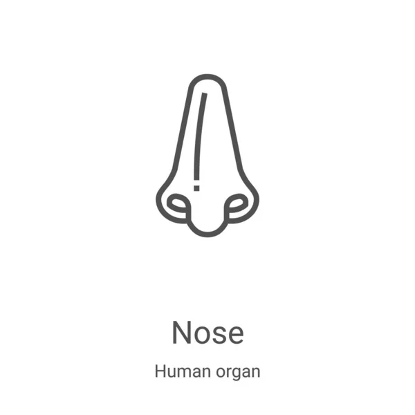 Wektor Ikony Nosa Kolekcji Ludzkich Organów Cienka Linia Nosa Zarys — Wektor stockowy