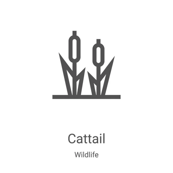 Cattail Vector Ícone Coleção Vida Selvagem Linha Fina Cattail Esboço — Vetor de Stock
