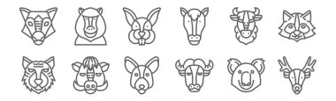 12 adet hayvan kafası ikonu. Geyik, bufalo, yaban domuzu, bizon, tavşan, babun gibi ince çizgi simgeleri