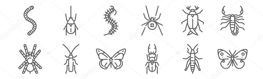 Set of 12 insects icons. outline thin line icons such as butterfly, beetle, cockroach, bug, worm, beetle