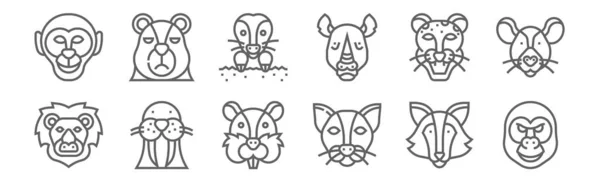 Conjunto Iconos Cabeza Animal Contorno Iconos Línea Delgada Como Gorila — Archivo Imágenes Vectoriales