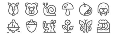 12 doğa ikonu seti. Dalga, çiçek, meşe palamudu, portakal, salyangoz, ayı gibi ince çizgi simgeleri