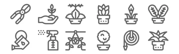 Conjunto Iconos Plantas Casa Perfilar Iconos Línea Delgada Como Aloe — Vector de stock