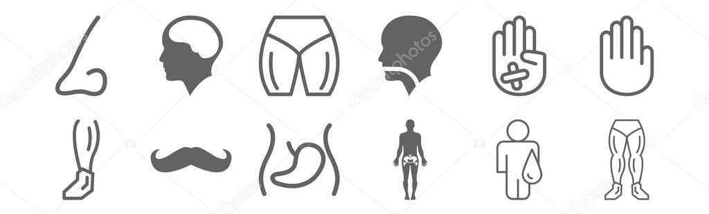 set of 12 body parts icons. outline thin line icons such as male legs couple, hips human body part, mustache curled tip variant, hand showing palm, male hips and quadriceps, brain inside human head