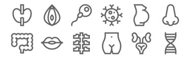 set of 12 human body icons. outline thin line icons such as dna, human body, lips, pregnant, fertilization, vagina