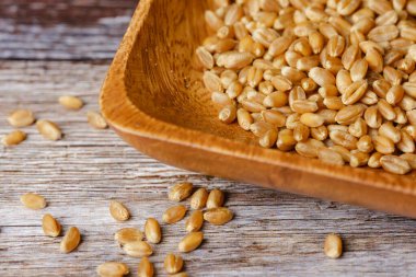 Tahta bir kasede buğday taneleri