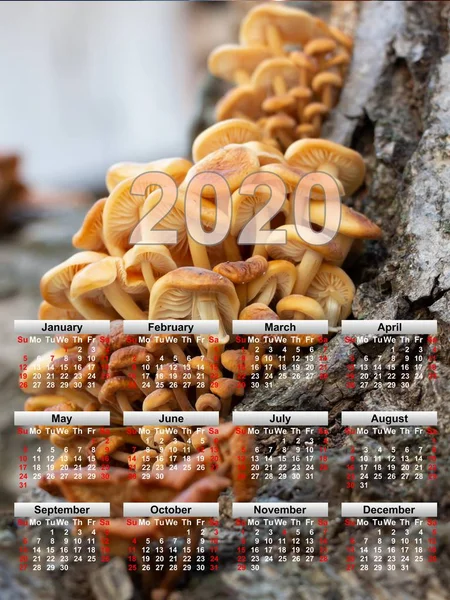 Ημερολόγιο Φόντο Μανιταριών Που Φυτρώνουν Δέντρο Ημερολόγιο Τοίχου Για Όλο — Φωτογραφία Αρχείου