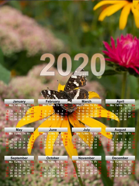 달력을 나비의 비교해 십시오 수있는 달력입니다 2020 — 스톡 사진