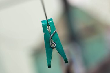 Yeşil mandal, yakın plan. Tasarımcı için eleman, yakın çekim. Metin gibi arkaplan