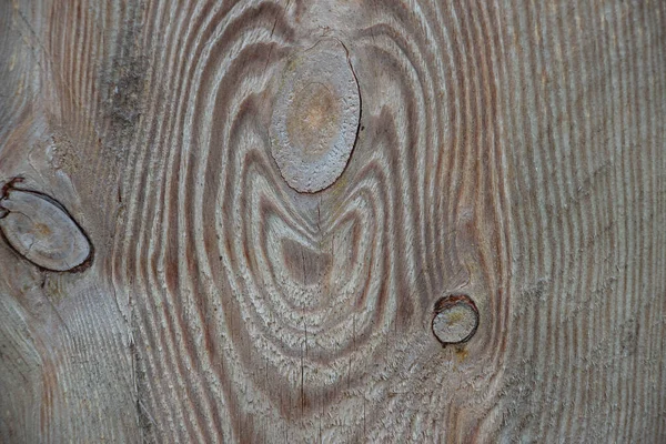 Revêtement Bois Macro Shot Arbre Tout Près Une Planche Bois — Photo