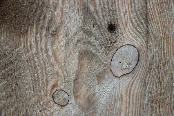 Revêtement Bois Macro Shot Arbre Tout Près Une Planche Bois — Photo