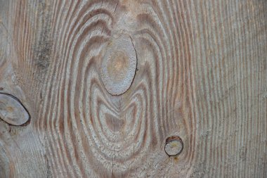 Makro çekimde ahşap kaplama. Ağaç yaklaş. Makro çekimde ahşap bir tahta. Metin gibi arkaplan