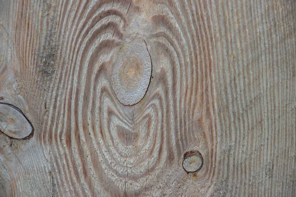 Wood Coating Macro Shot Tree Close Wooden Board Macro Shot — Stock Photo, Image