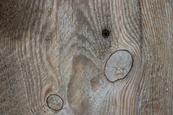 Revêtement Bois Macro Shot Arbre Tout Près Une Planche Bois — Photo