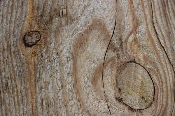 宏观喷丸中的木材涂层 树靠紧了宏观射击中的木板 如纹理 — 图库照片