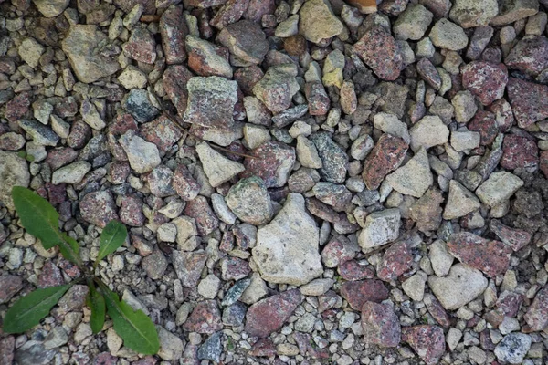 Piedra Triturada Piedras Multicolores Elemento Primer Plano Para Diseñador Fondo — Foto de Stock