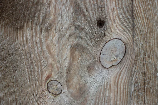 Povlak Dřevo Makro Záběru Strom Zblízka Dřevěná Deska Makro Záběru — Stock fotografie