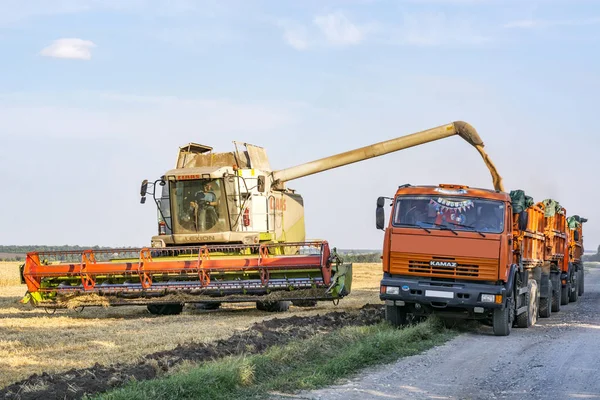 Cosechadora elimina los campos de grano y lo vierte en camión de grano — Foto de Stock