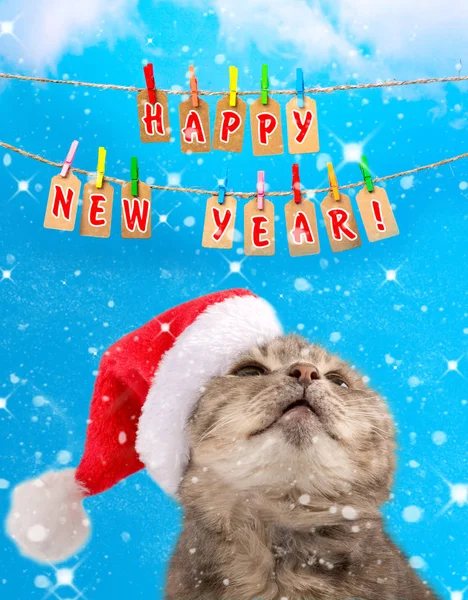 Gato Tapa Santa Claus Mira Hacia Arriba Inscripción Feliz Año — Foto de Stock